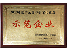 2013年縉云縣安全文化建設示范企業(yè)