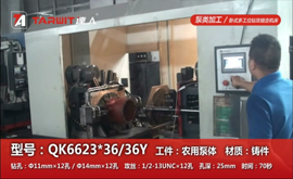 QK6623*36/36Y 鉆農用泵體
