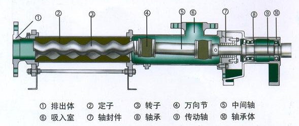 單螺桿泵基本機構圖.png