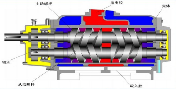 雙螺桿泵基本機構圖.png
