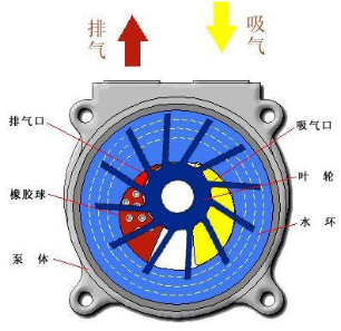 水環(huán)真空泵基本結構圖.png