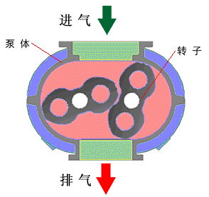 羅茨真空泵基本結構圖.png